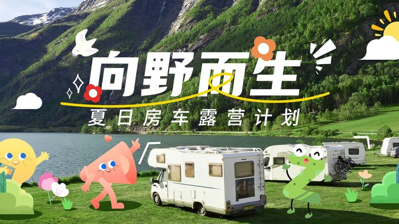 加急签证与普通签证：快速通行与常规流程的较量