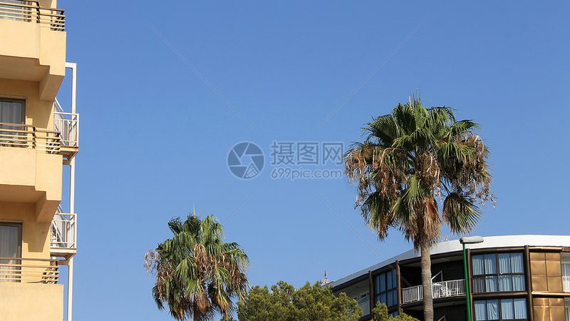 民宿与酒店：服务体验的微妙差异